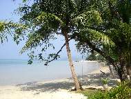 ชายหาดไก่แบ้ ด้านหน้าบ้านสดใส